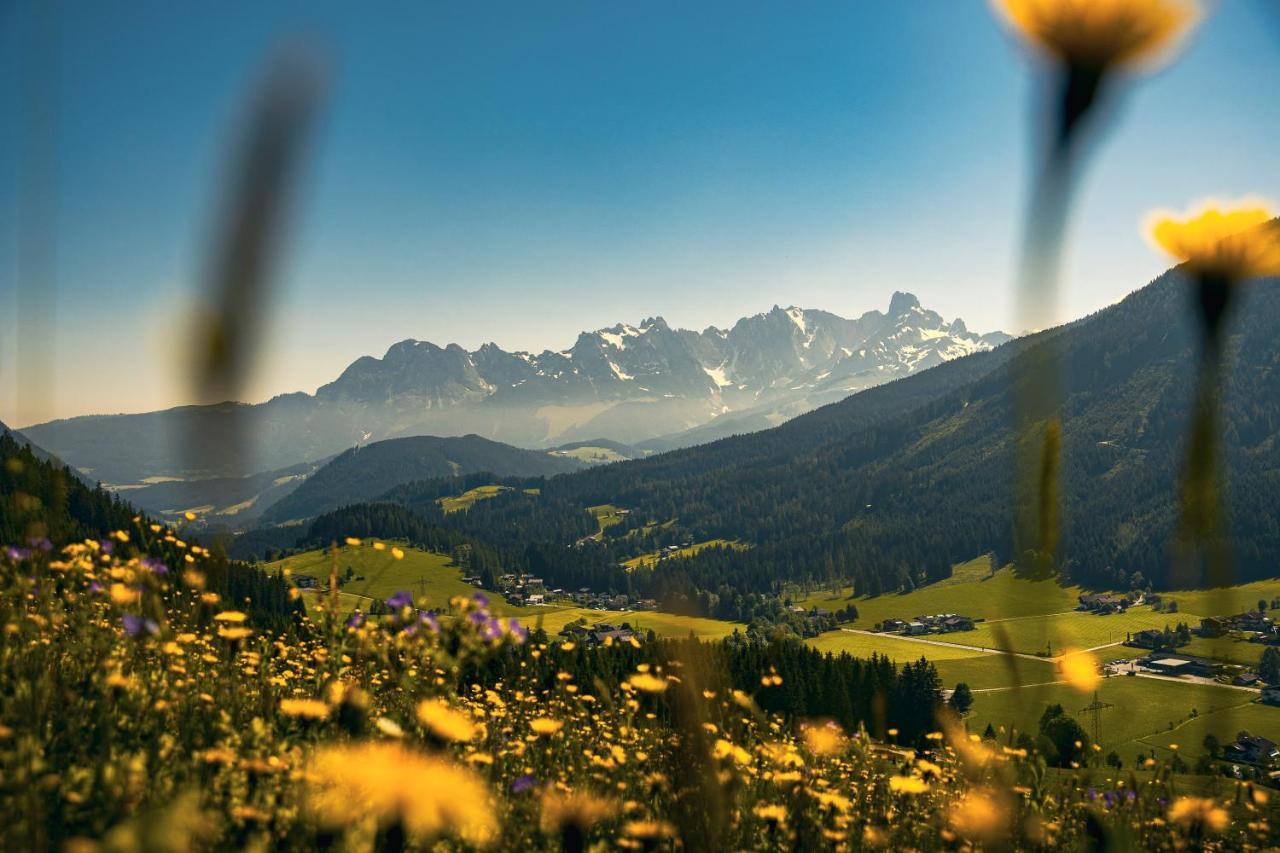 Ferienwohnung Wimmhof Sankt Martin am Tennengebirge Exterior foto